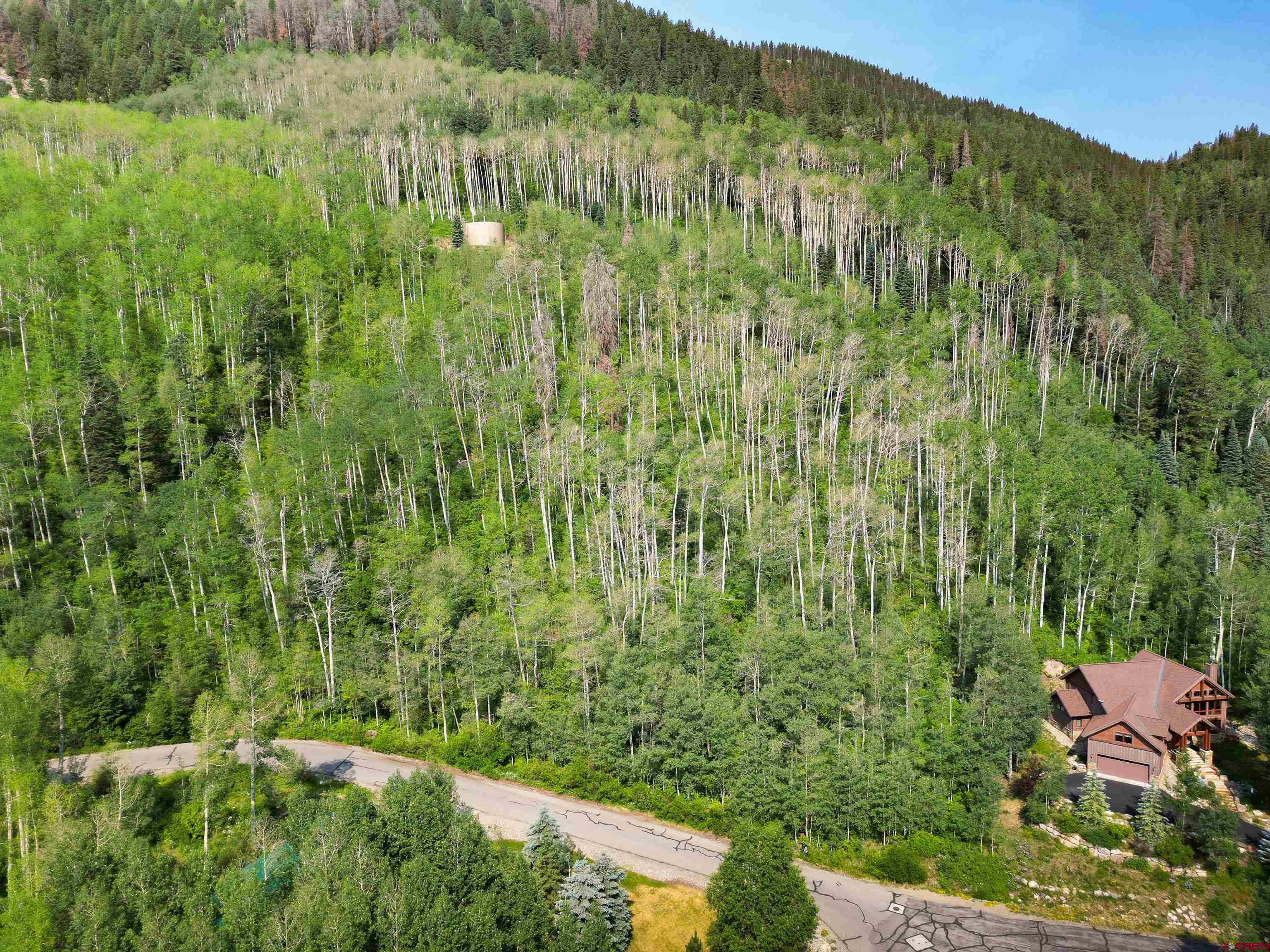 350 Falcon Ridge Road Durango, CO 81301 - Photo 20 of 39 a view of a lush green forest with a lake