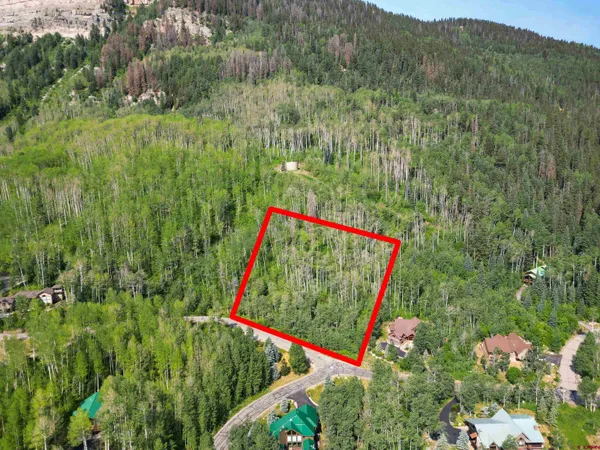 a view of a lush green field with plants