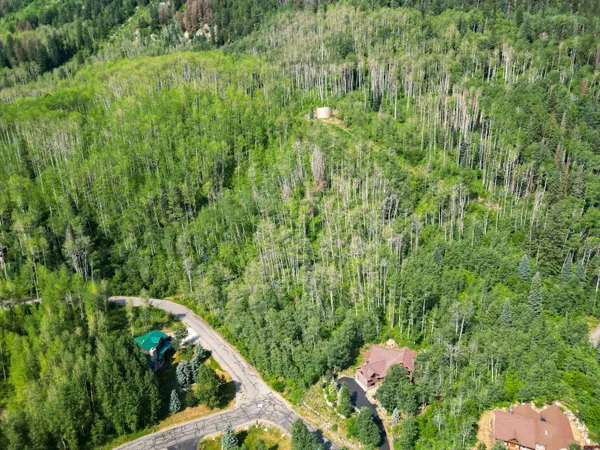 a view of a large building with a mountain in the background