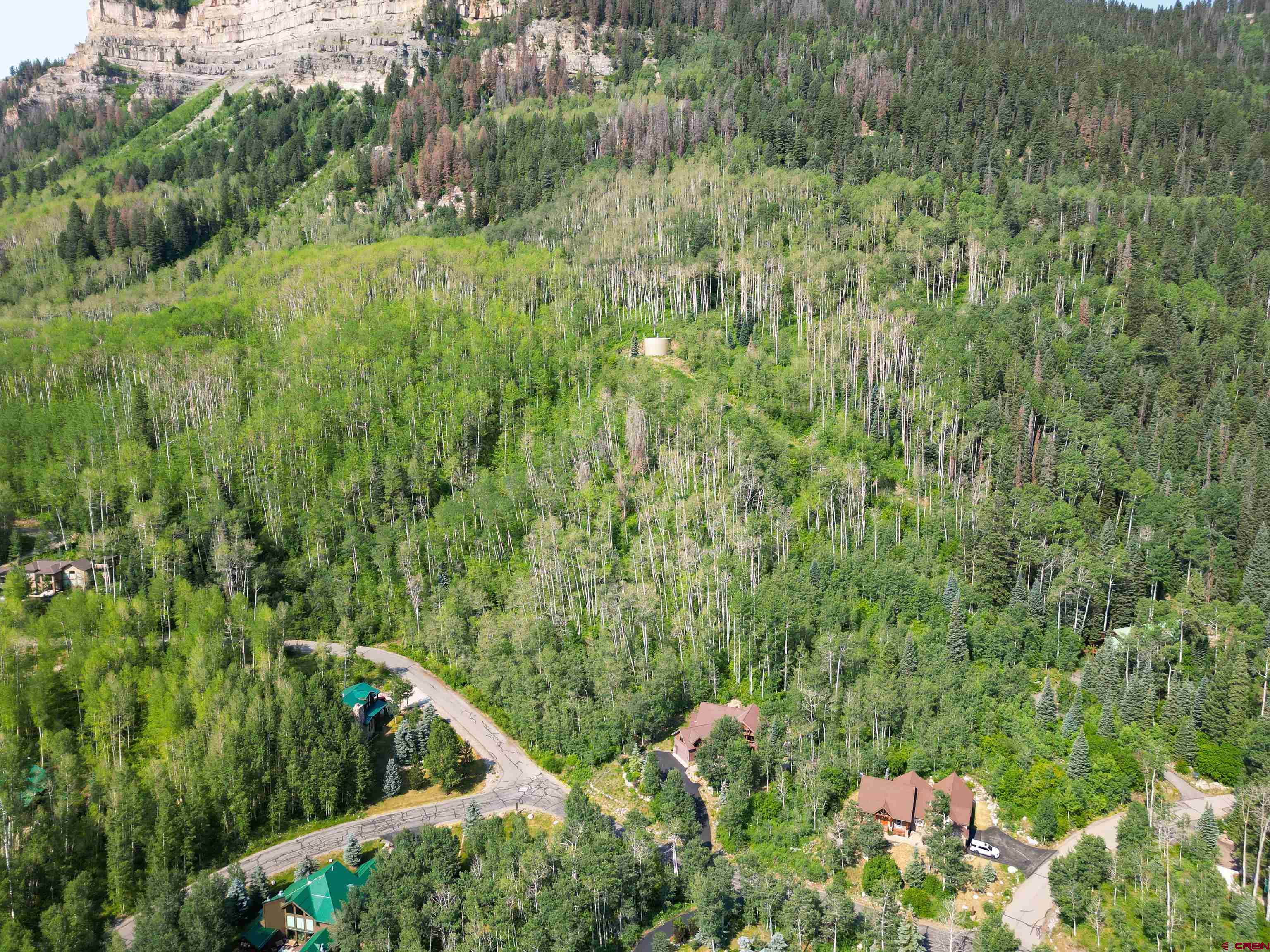 350 Falcon Ridge Road Durango, CO 81301 - Photo 33 of 39 a view of a lush green forest