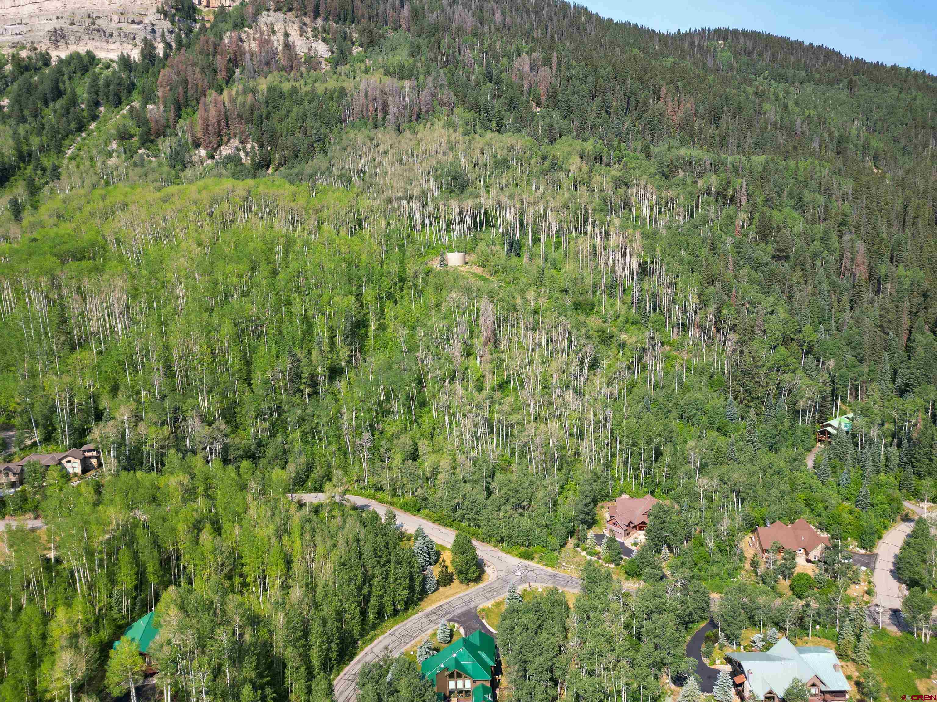 350 Falcon Ridge Road Durango, CO 81301 - Photo 34 of 39 a view of a lush green forest with a house