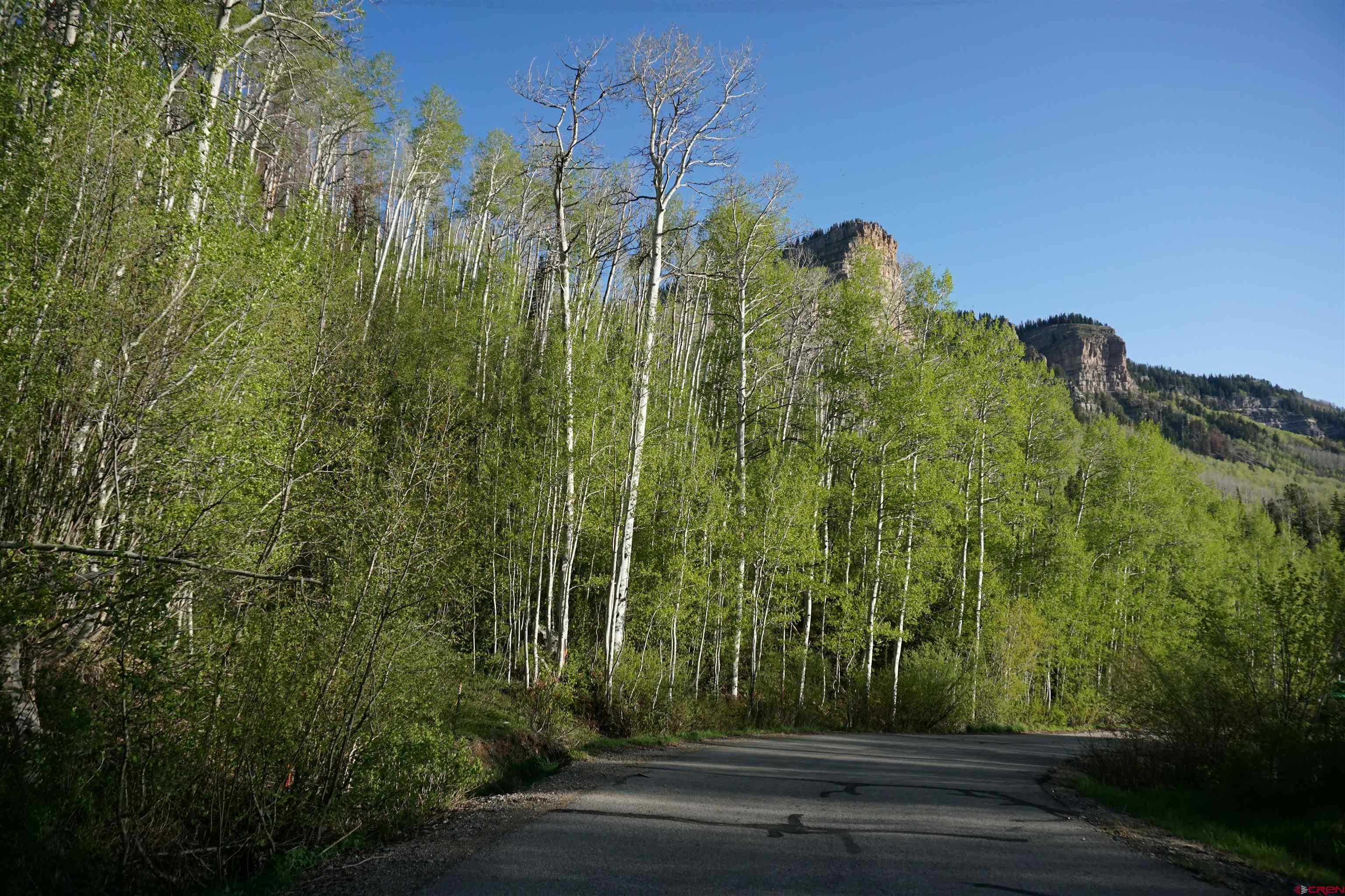 350 Falcon Ridge Road Durango, CO 81301 - Photo 37 of 39 a view of a garden