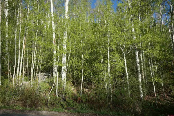 $320,000 | 350 Falcon Ridge Road, Durango, CO 81301