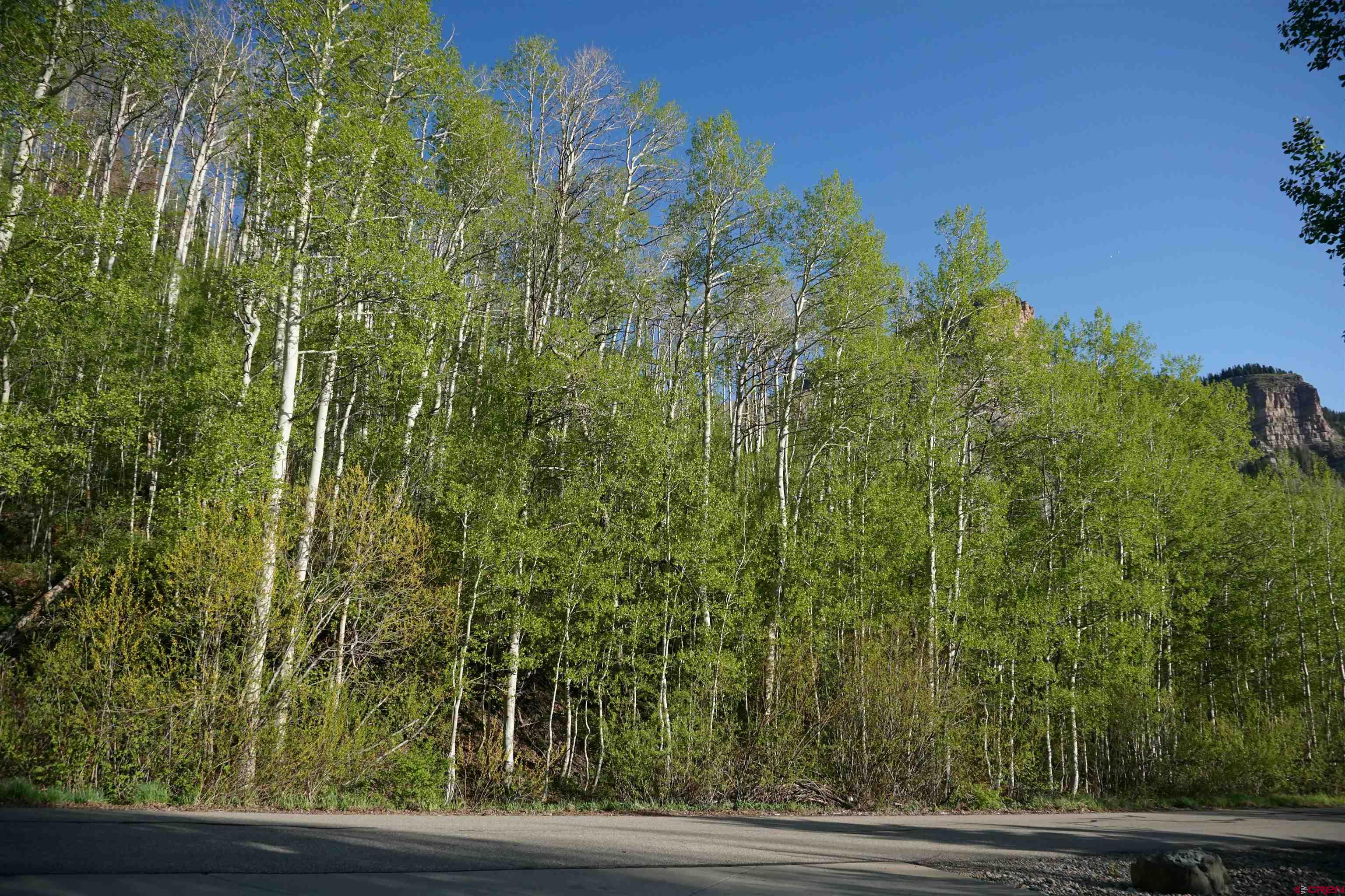 350 Falcon Ridge Road Durango, CO 81301 - Photo 7 of 39 a view of a yard