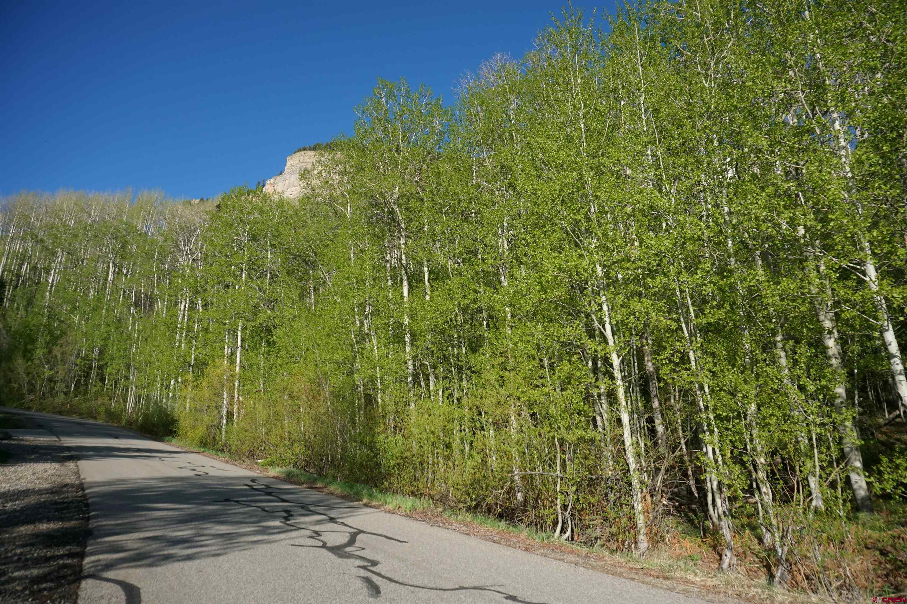 350 Falcon Ridge Road Durango, CO 81301 - Photo 8 of 39