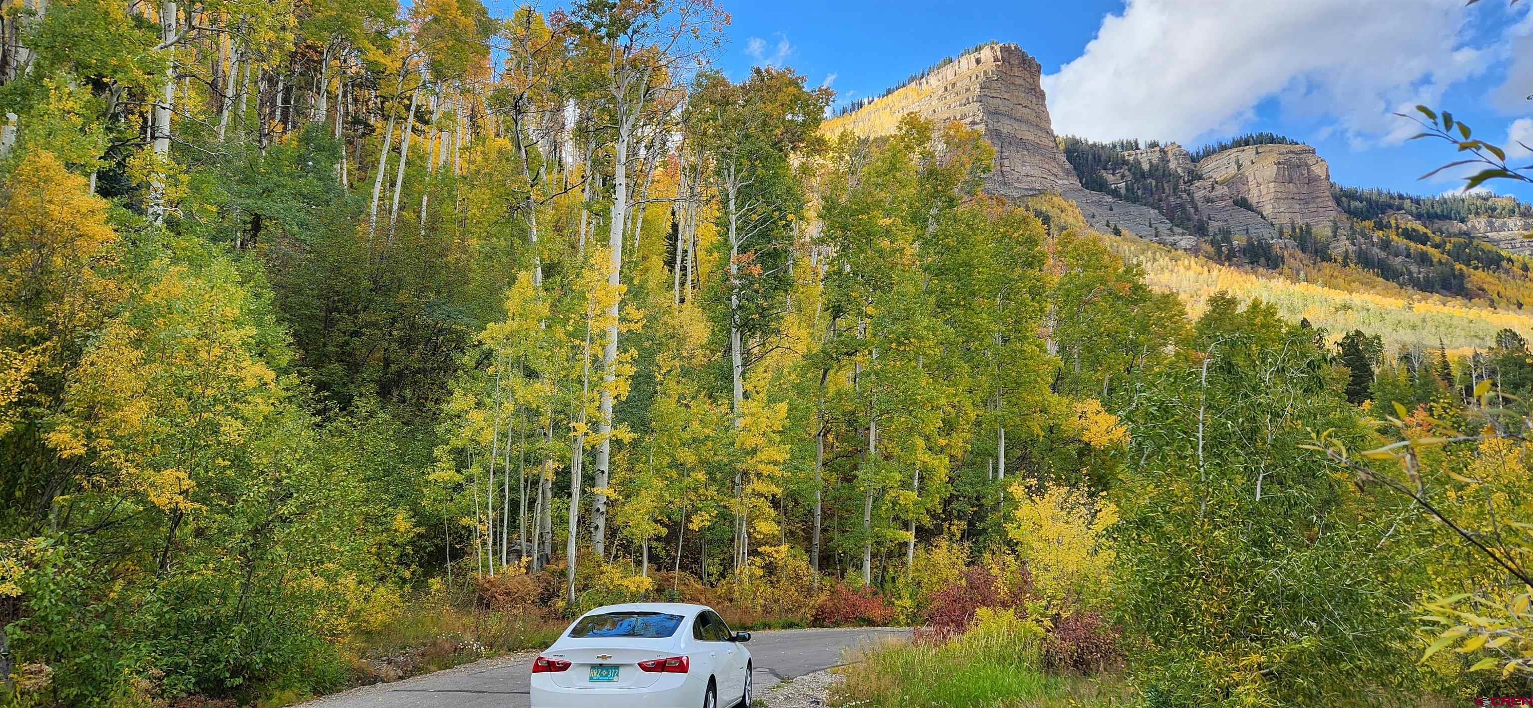 350 Falcon Ridge Road Durango, CO 81301 - Photo 9 of 39 a view of a yard with plants and trees