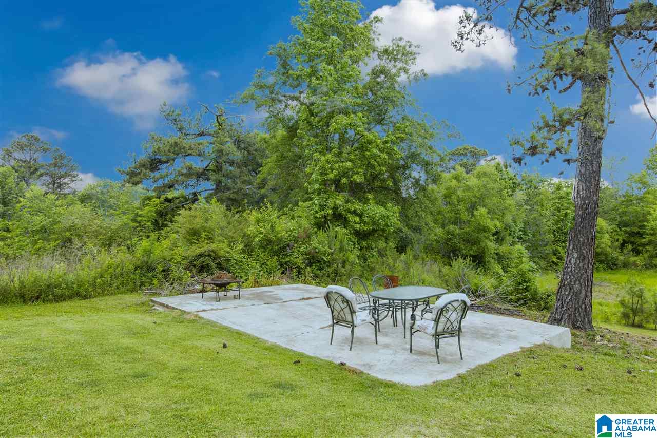 595 Kiowa Road Remlap, AL 35133 - Photo 4 of 24