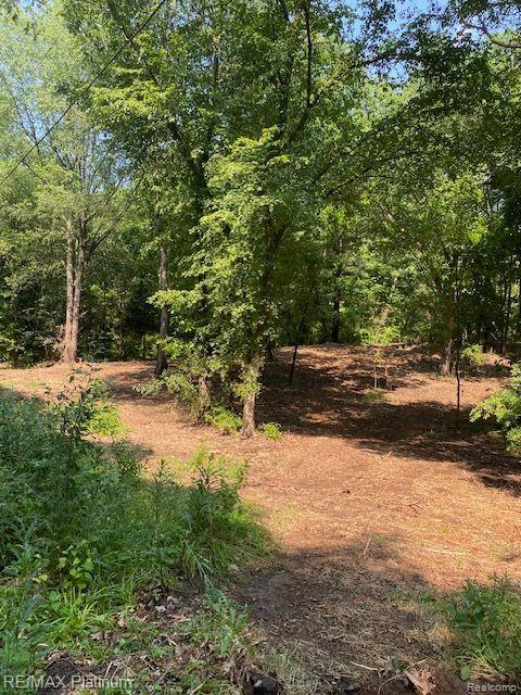7 Sleaford-parcel 7 - 2 Acres Road Howell, MI 48843 - Photo 27 of 45