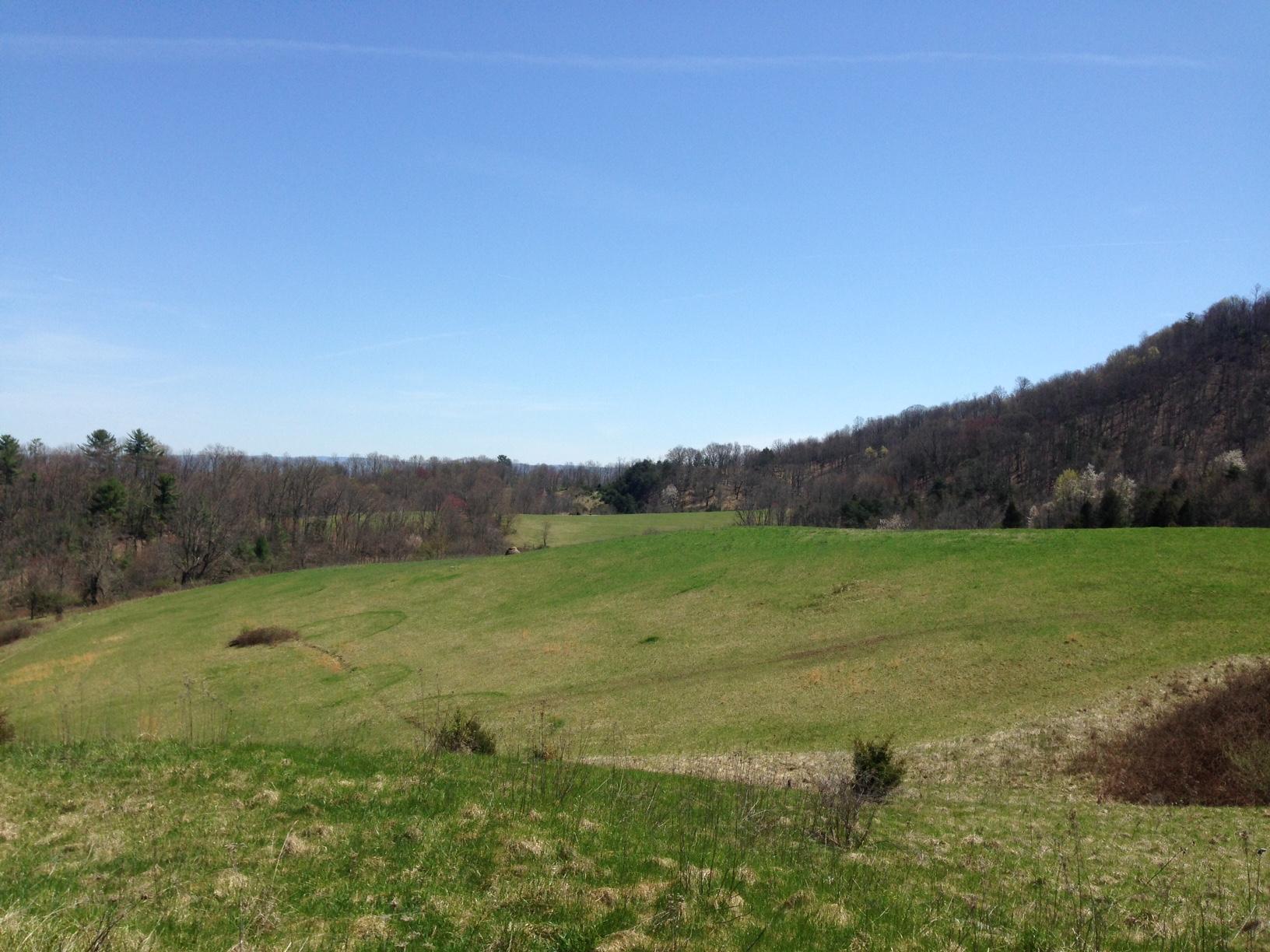 Dillon Road Forest Hill, WV 24935 - Photo 11 of 93 Gallery Image 11