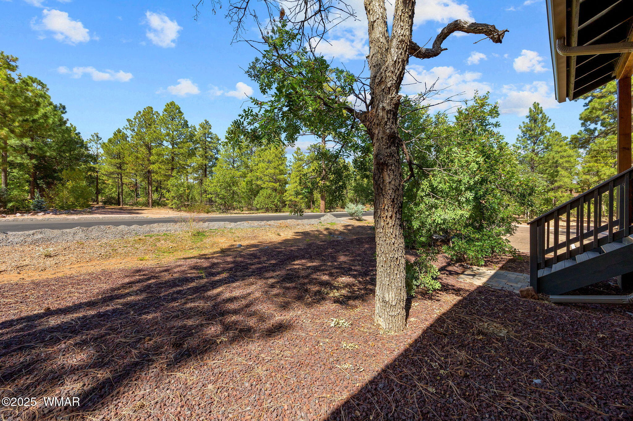 5898 Apollo Way Lakeside, AZ 85929 - Photo 21 of 23