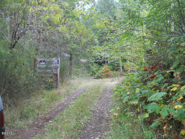 61999 Southwest Hebo Road Grand Ronde, OR 97347 - Photo 7 of 22 Driveway from road
