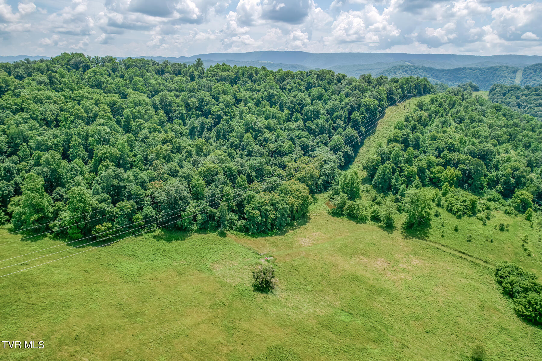2083 Bundren Mountain Road Tazewell, TN 37879 - Photo 10 of 42 2083 Bundren Mountain Rd-41