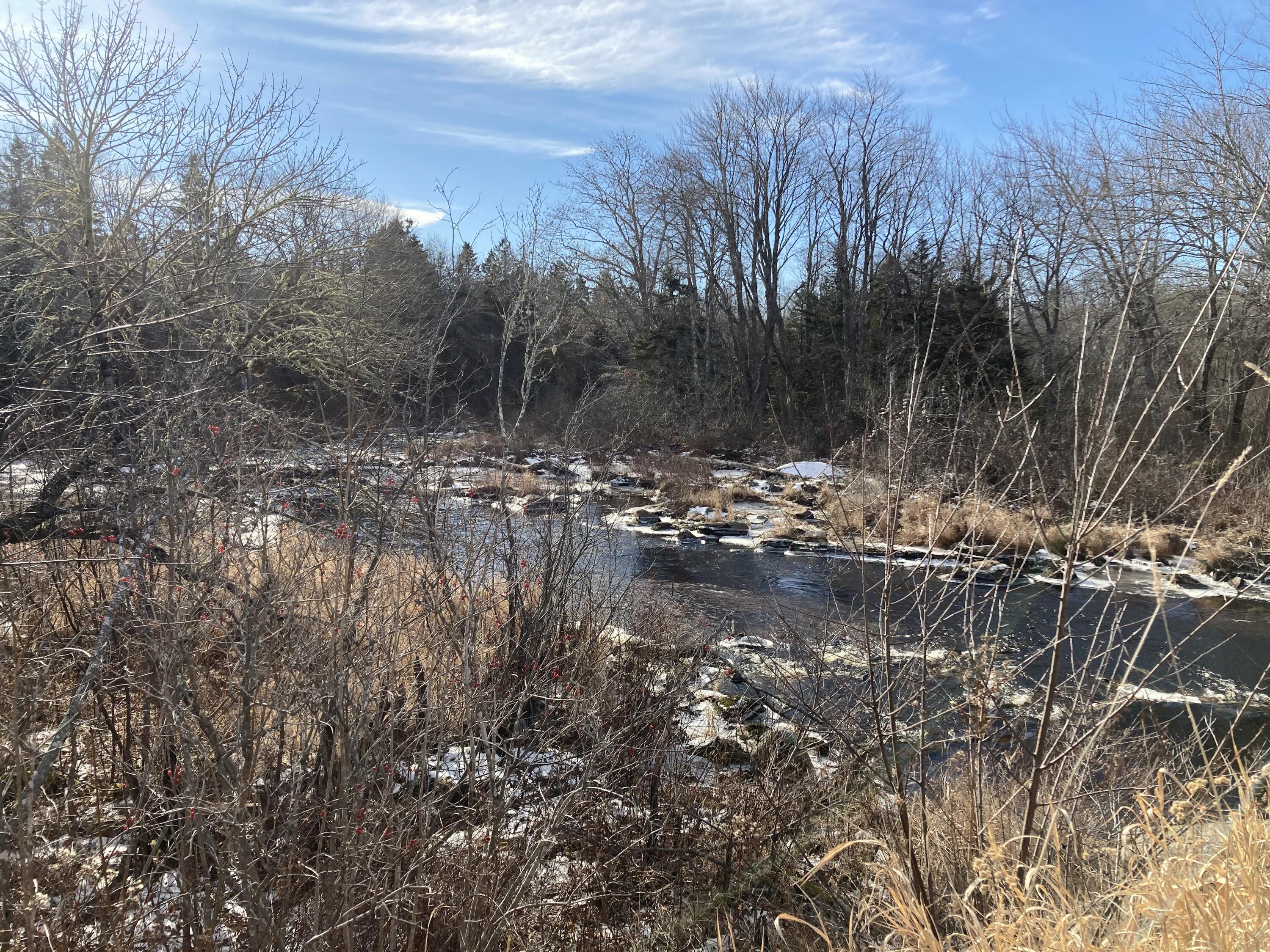 3 Rogers Point Road Steuben, ME 04680 - Photo 31 of 31 Stream from bridge.