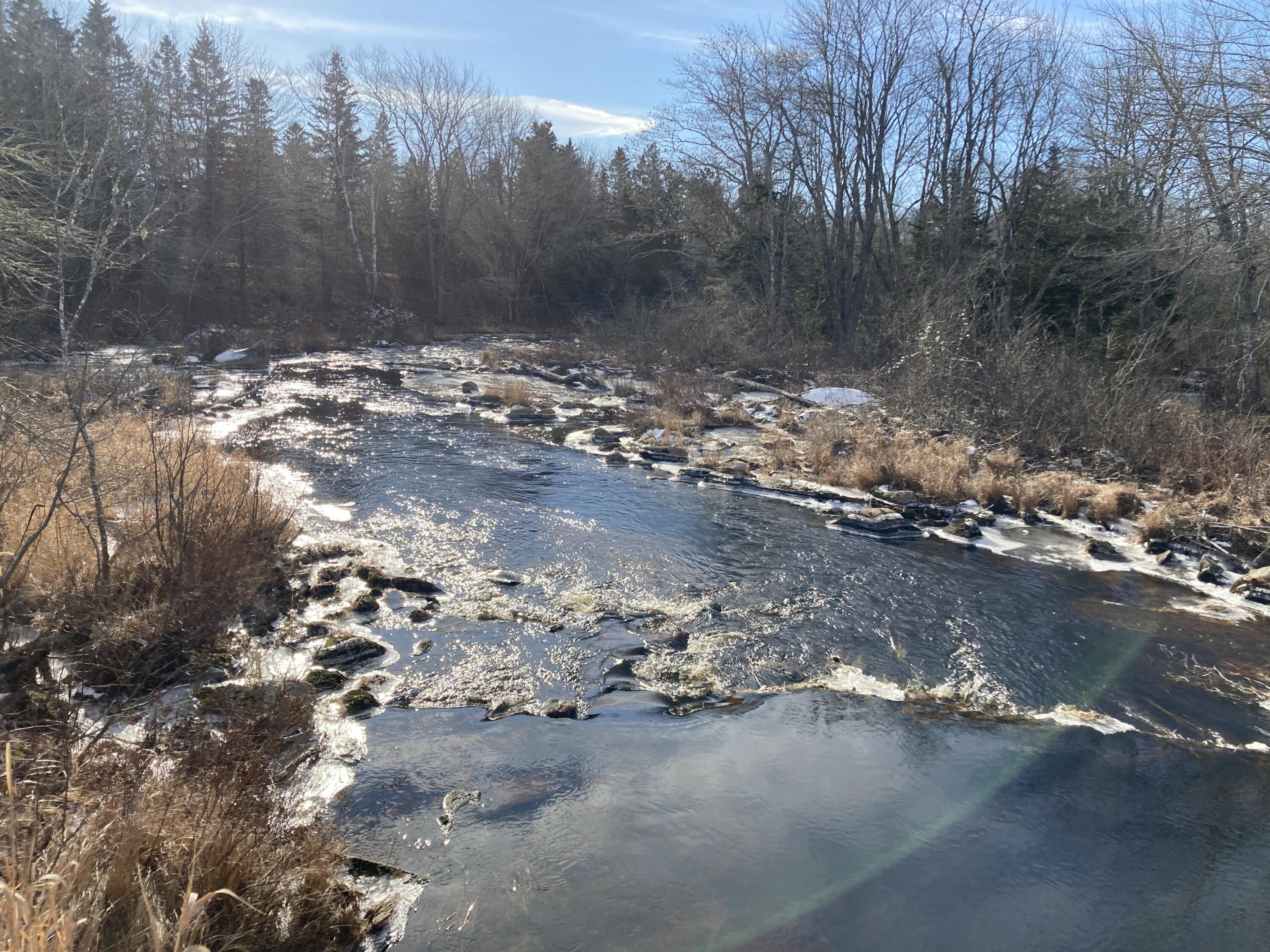 3 Rogers Point Road Steuben, ME 04680 - Photo 4 of 31 Water frontage along Tunk Stream.