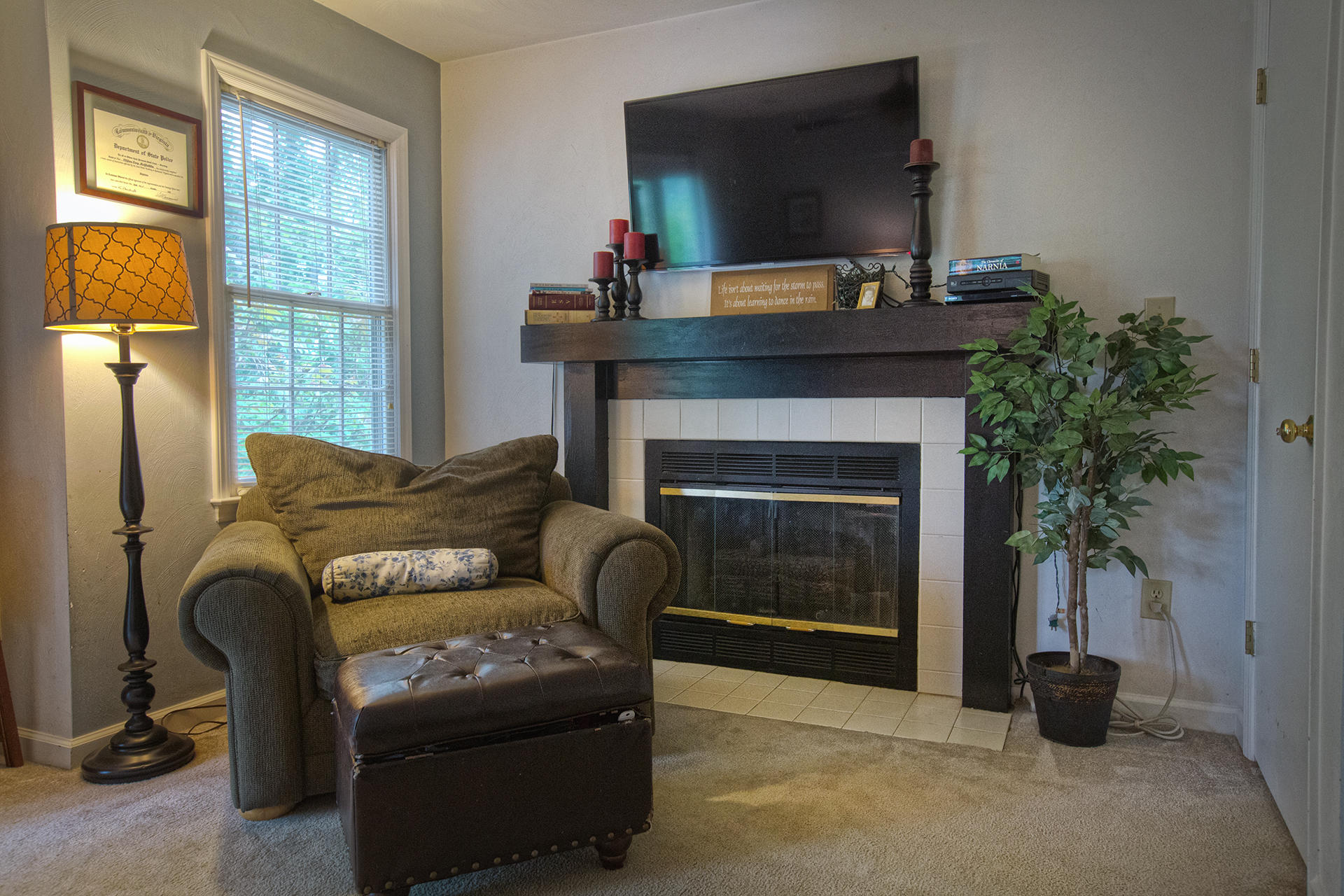 Living Room Fireplace