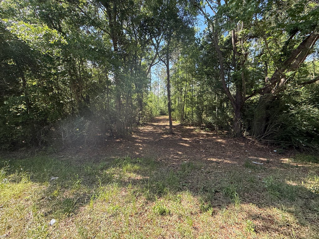 Lot 3 County Road Slocomb, AL 36375 - Photo 4 of 18