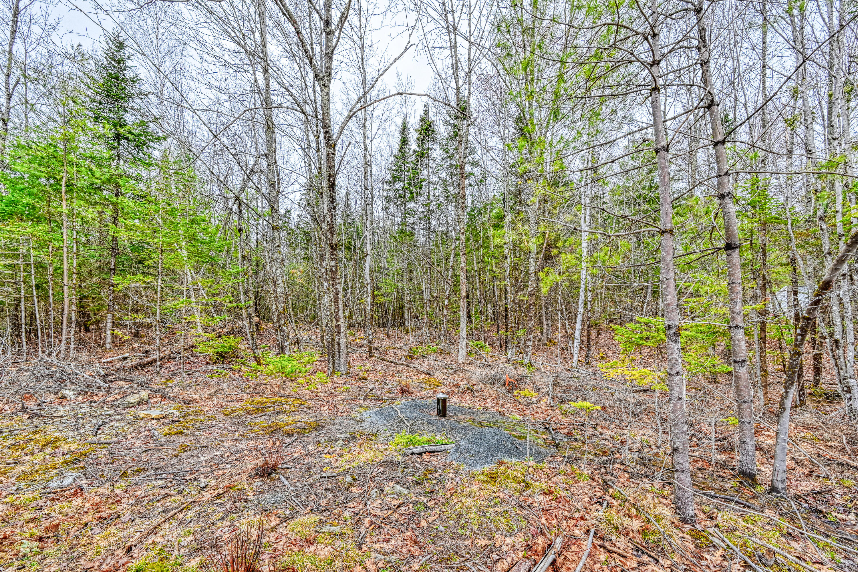 498 Morrill Road Winslow, ME 04901 - Photo 16 of 27 109912gr-104