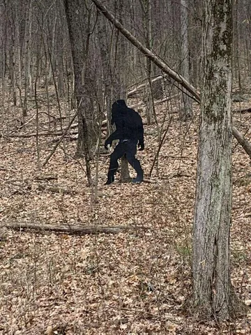 $69,900 | 498 Morrill Road, Winslow, ME 04901