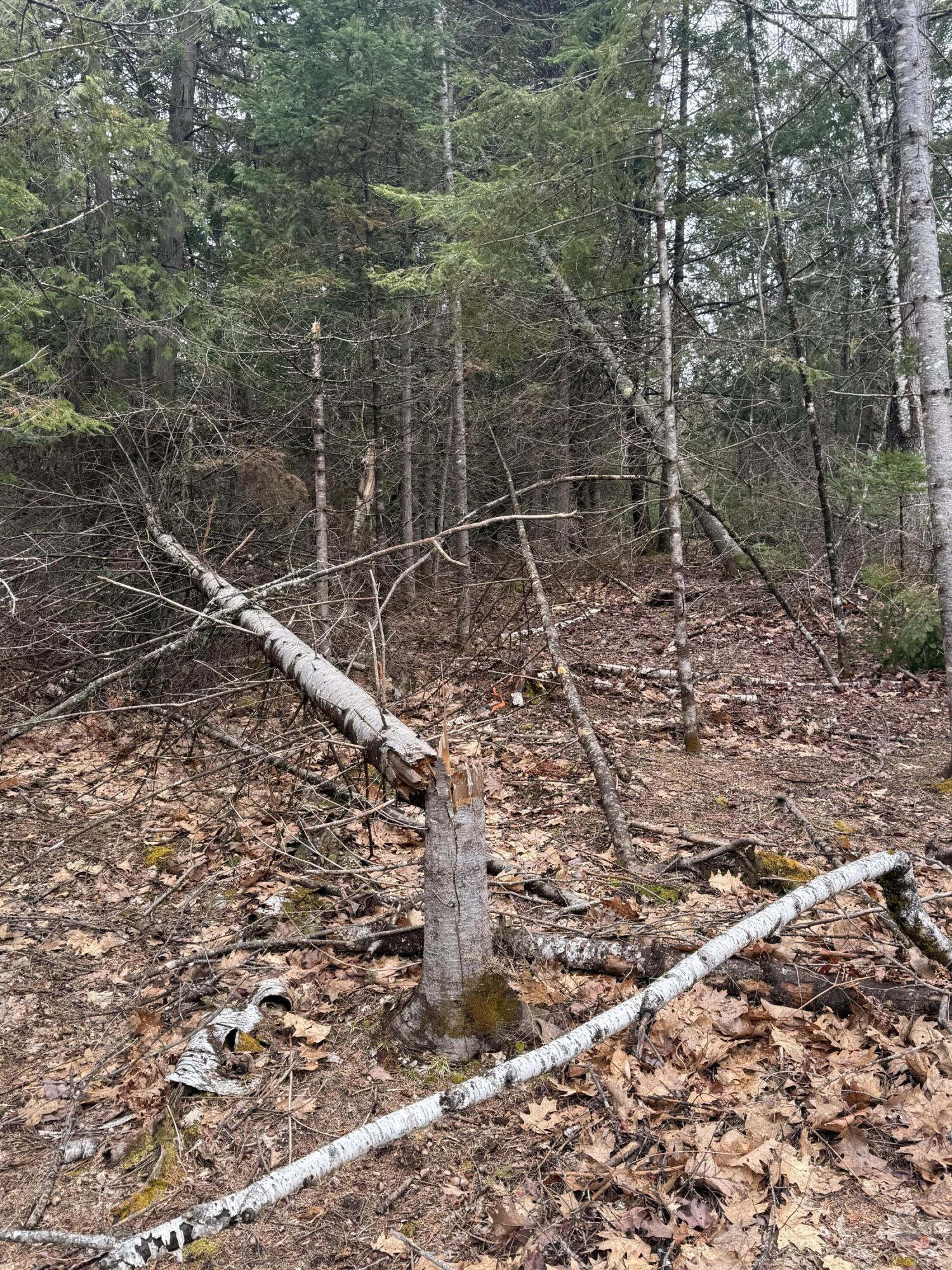 498 Morrill Road Winslow, ME 04901 - Photo 27 of 27 IMG_1221