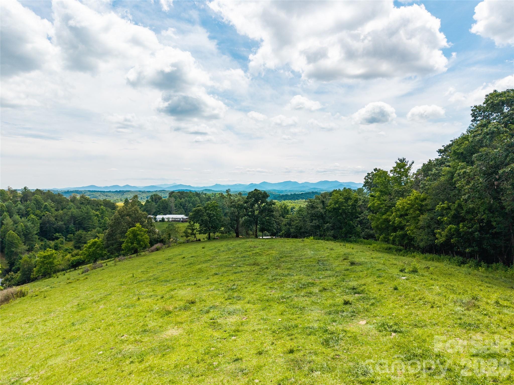 737 Tillery Br Road Marshall, NC 28753 - Photo 4 of 21