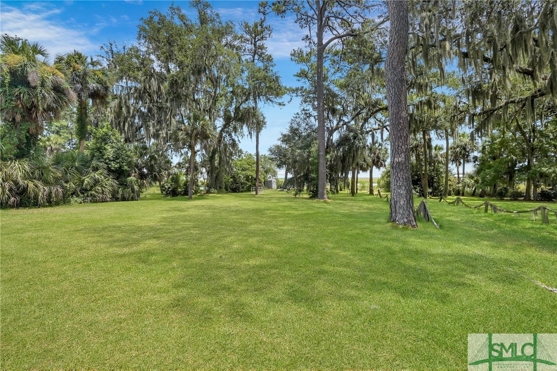 216 Oatland Island Road Savannah, GA 31410 - Photo 36 of 50 Lane for driving on right of back yard