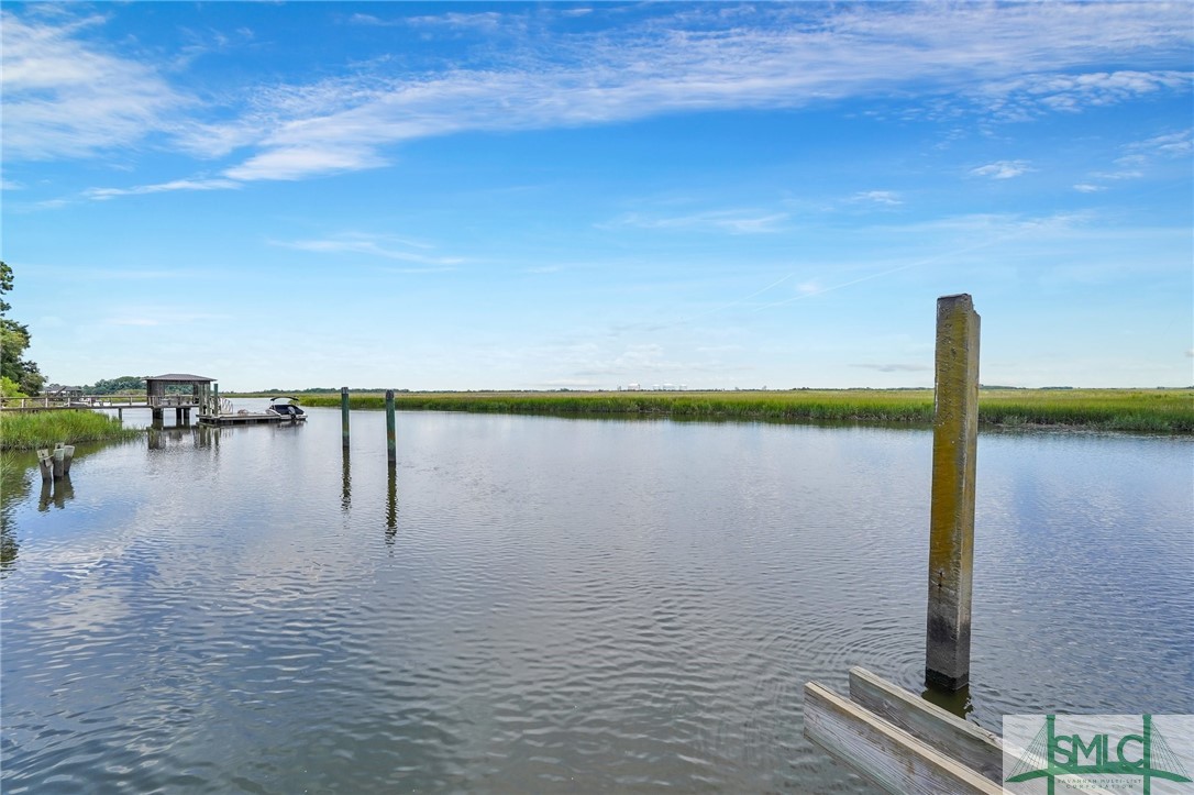 216 Oatland Island Road Savannah, GA 31410 - Photo 41 of 50 Deep Water