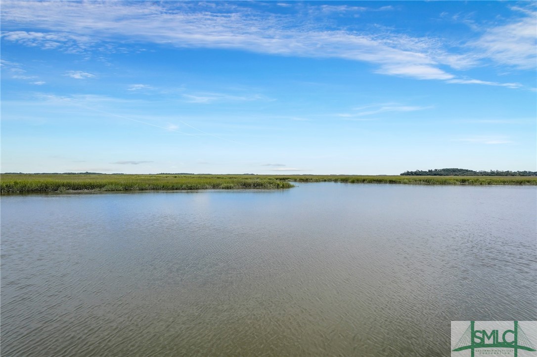 216 Oatland Island Road Savannah, GA 31410 - Photo 42 of 50 Gorgeous River Views