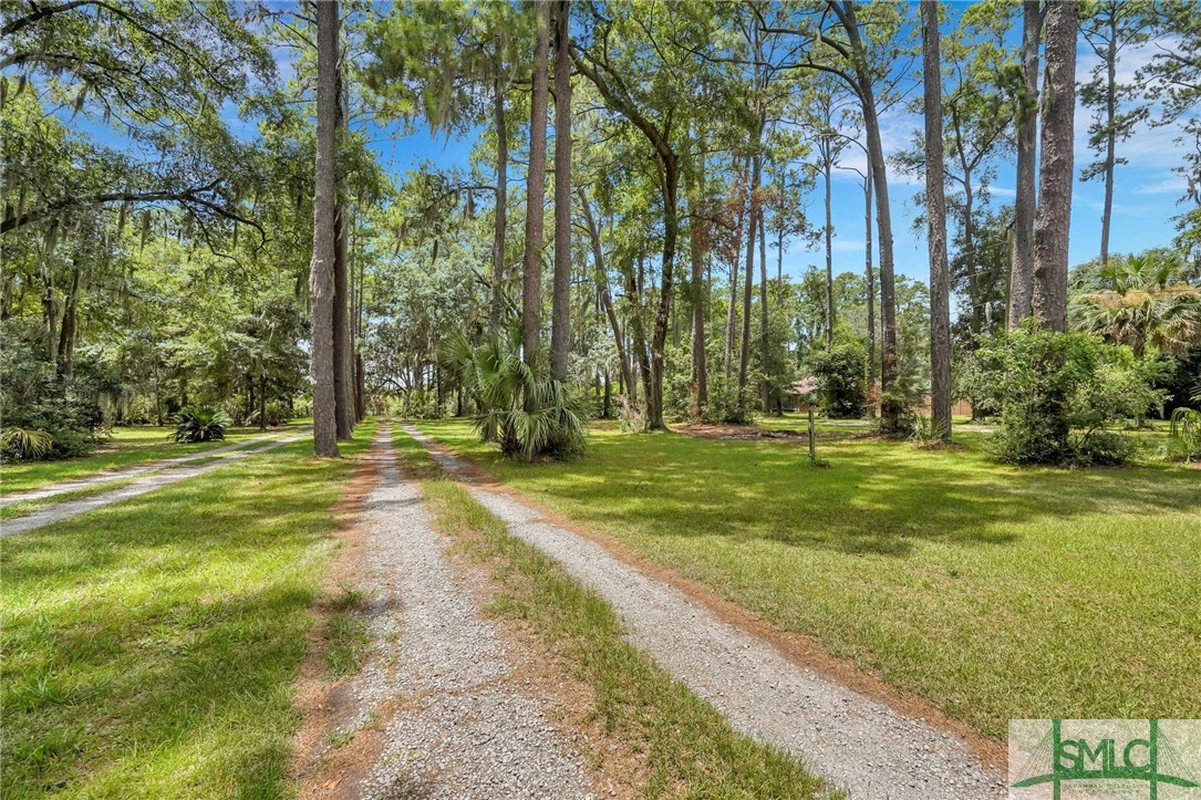 216 Oatland Island Road Savannah, GA 31410 - Photo 48 of 50 Front Yard Drive