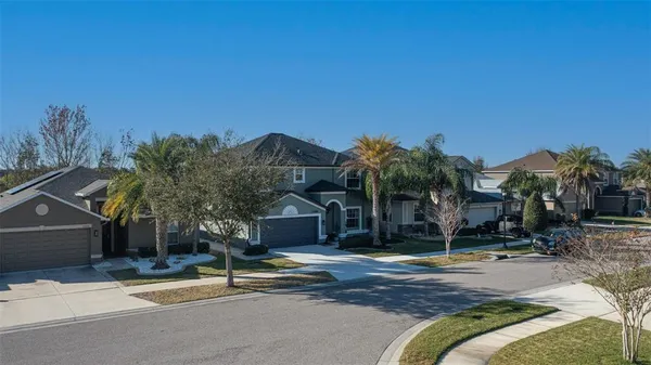 a view of house with a potted plant