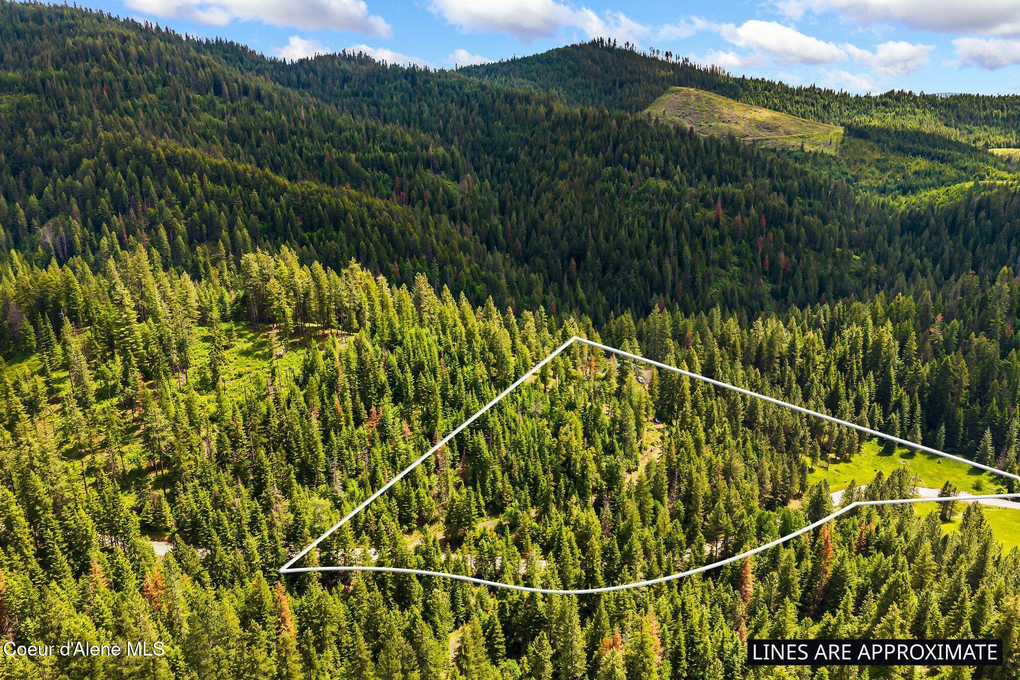 4304 South Elk Road Harrison, ID 83833 - Photo 35 of 39 43_DJI_20260604134648_0312_D plotline