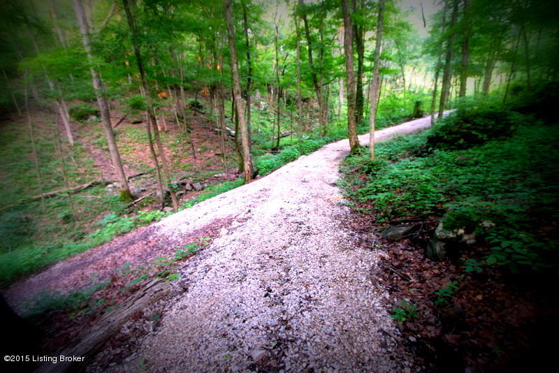 535 Holiday Hill Road Clarkson, KY 42726 - Photo 12 of 48 Eric Holiday Hills 082-001