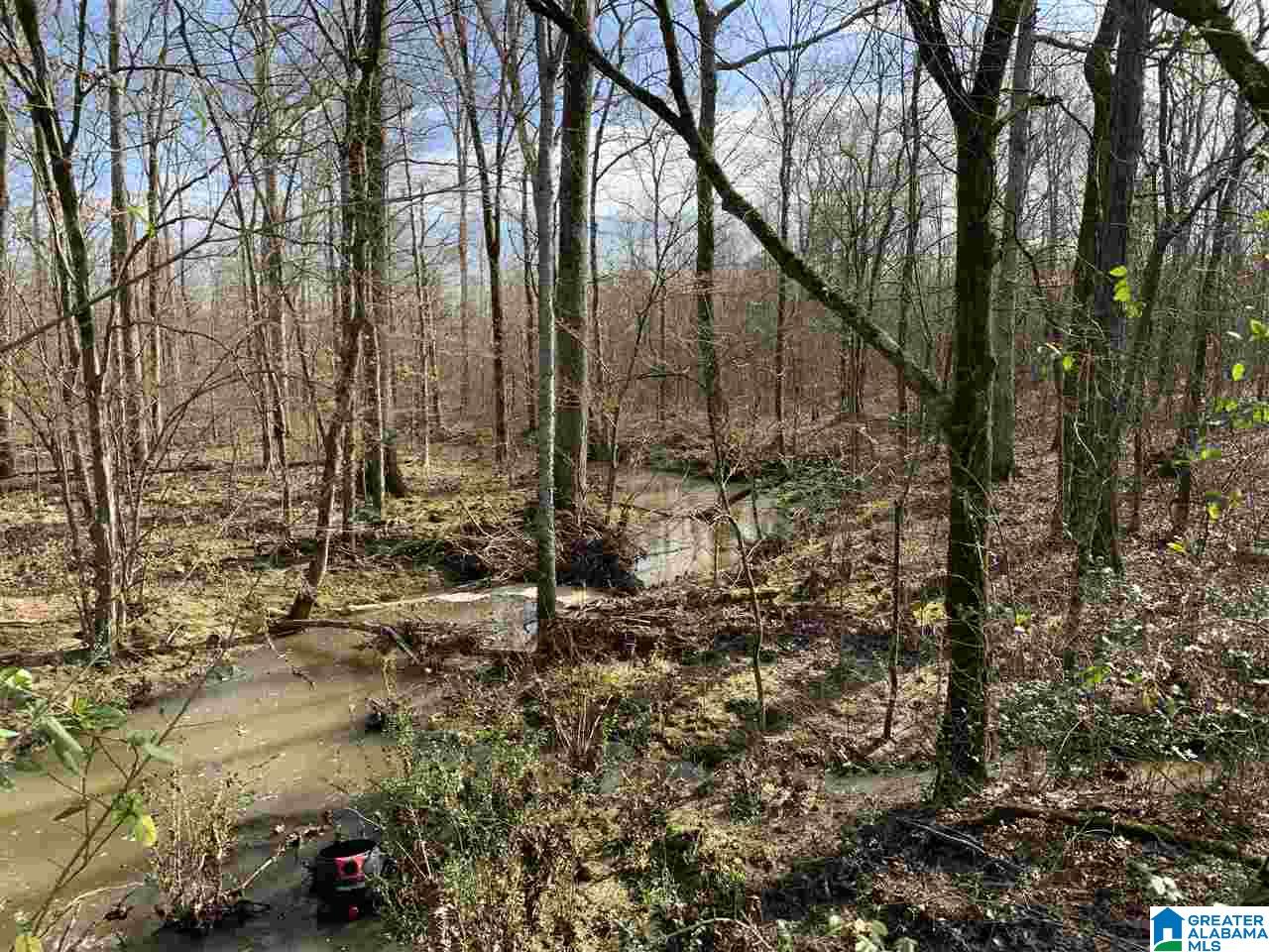 15-acres Crump Road, Unit 15 ACRES Steele, AL 35987 - Photo 1 of 9