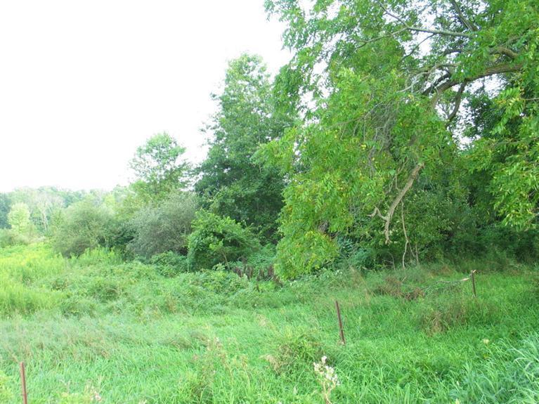 Stearns Road Cement City, MI 49233 - Photo 1 of 14 Primary Photo