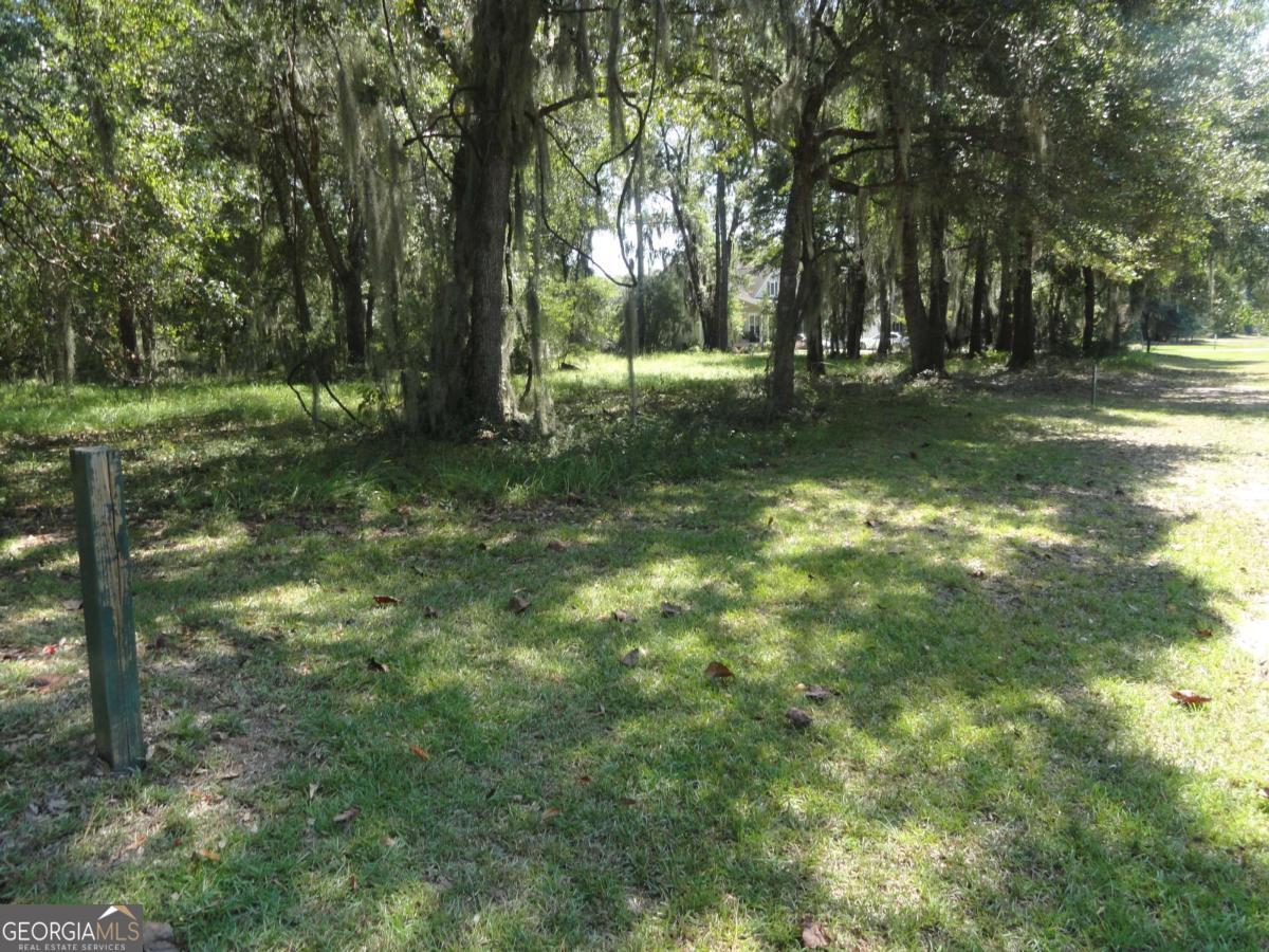 a view of outdoor space with trees all around