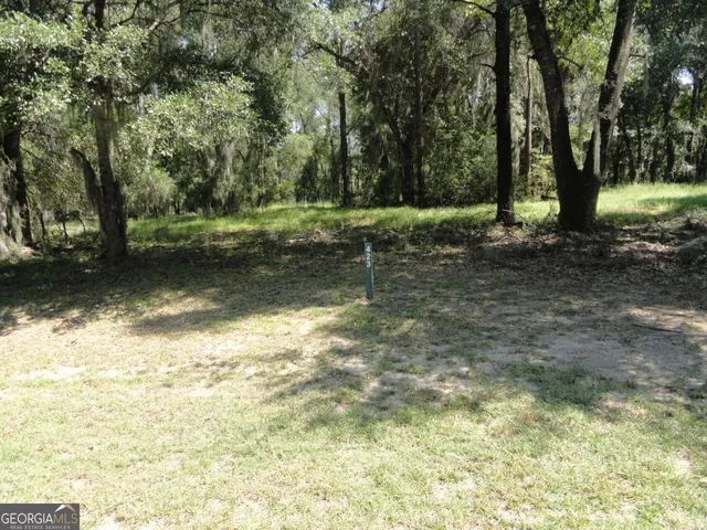 a view of a yard with a tree
