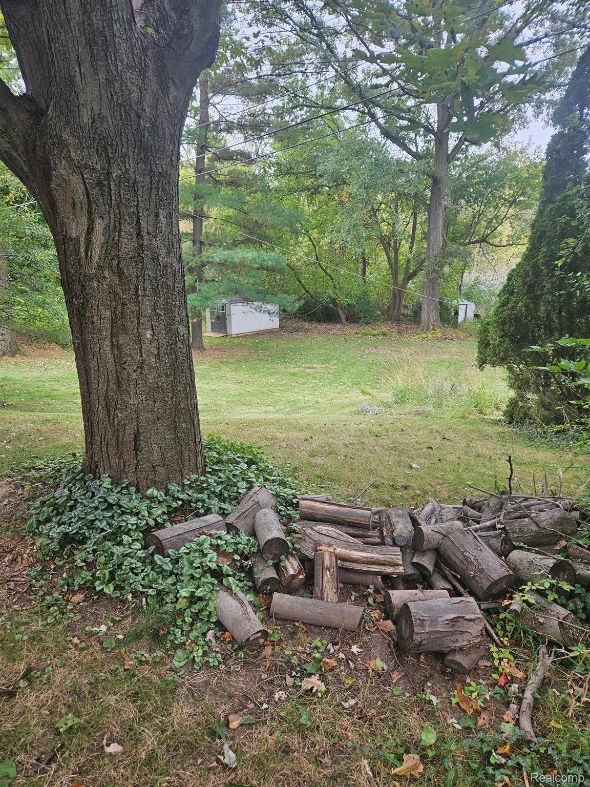 160 Riverside Drive Mount Clemens, MI 48043 - Photo 12 of 12 Gallery Image 12