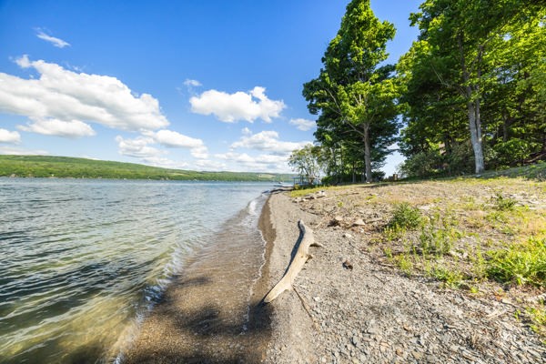 4300 Kent Klub Road Reading, NY 14878 - Photo 48 of 49