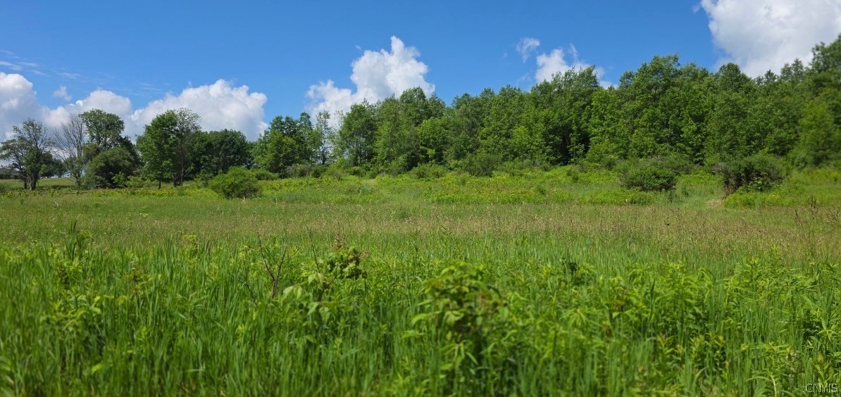 1252 N Road Tully, NY 13159 - Photo 47 of 48 Gallery Image 47