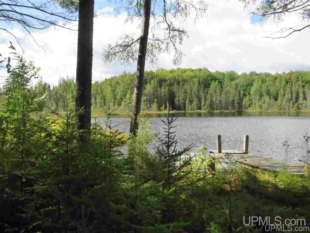 Tbd Off Lake On Three Road Trout Creek, MI 49967 - Photo 9 of 50