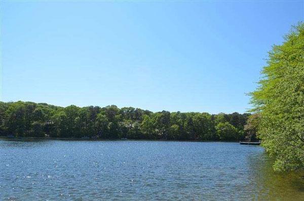 8 Finway Mashpee, MA 02649 - Photo 32 of 35 a view of a field and trees