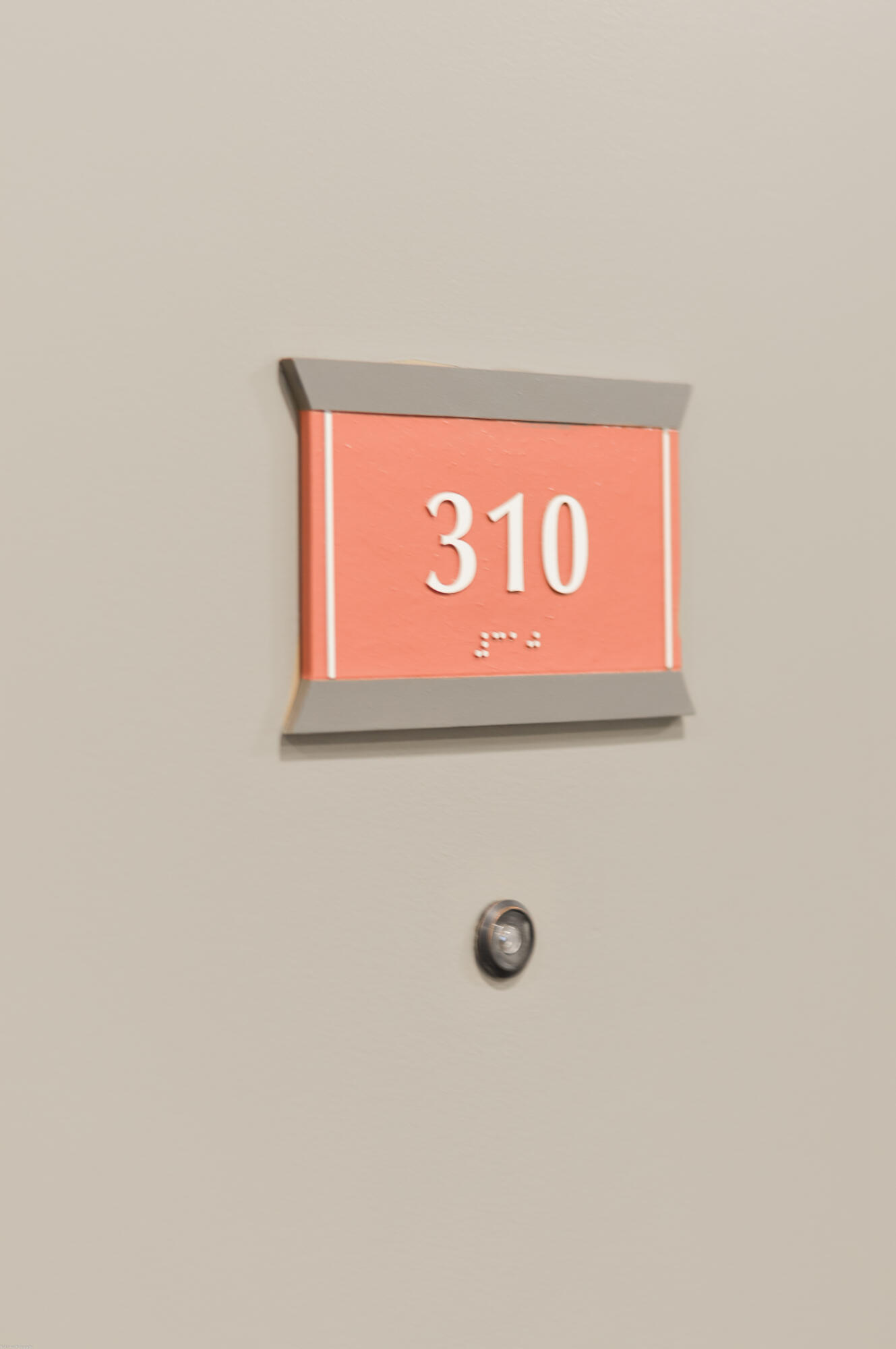21 George Street, Unit 310 Charleston, SC 29401 - Photo 2 of 43 Front Door