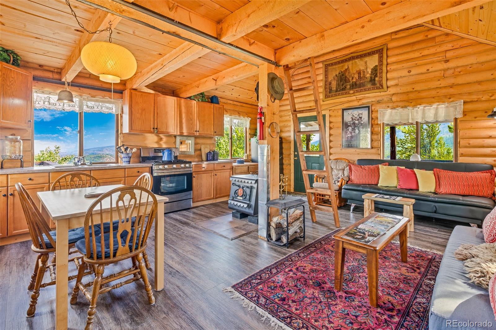 210 Pine Ridge Road Fairplay, CO 80440 - Photo 2 of 47