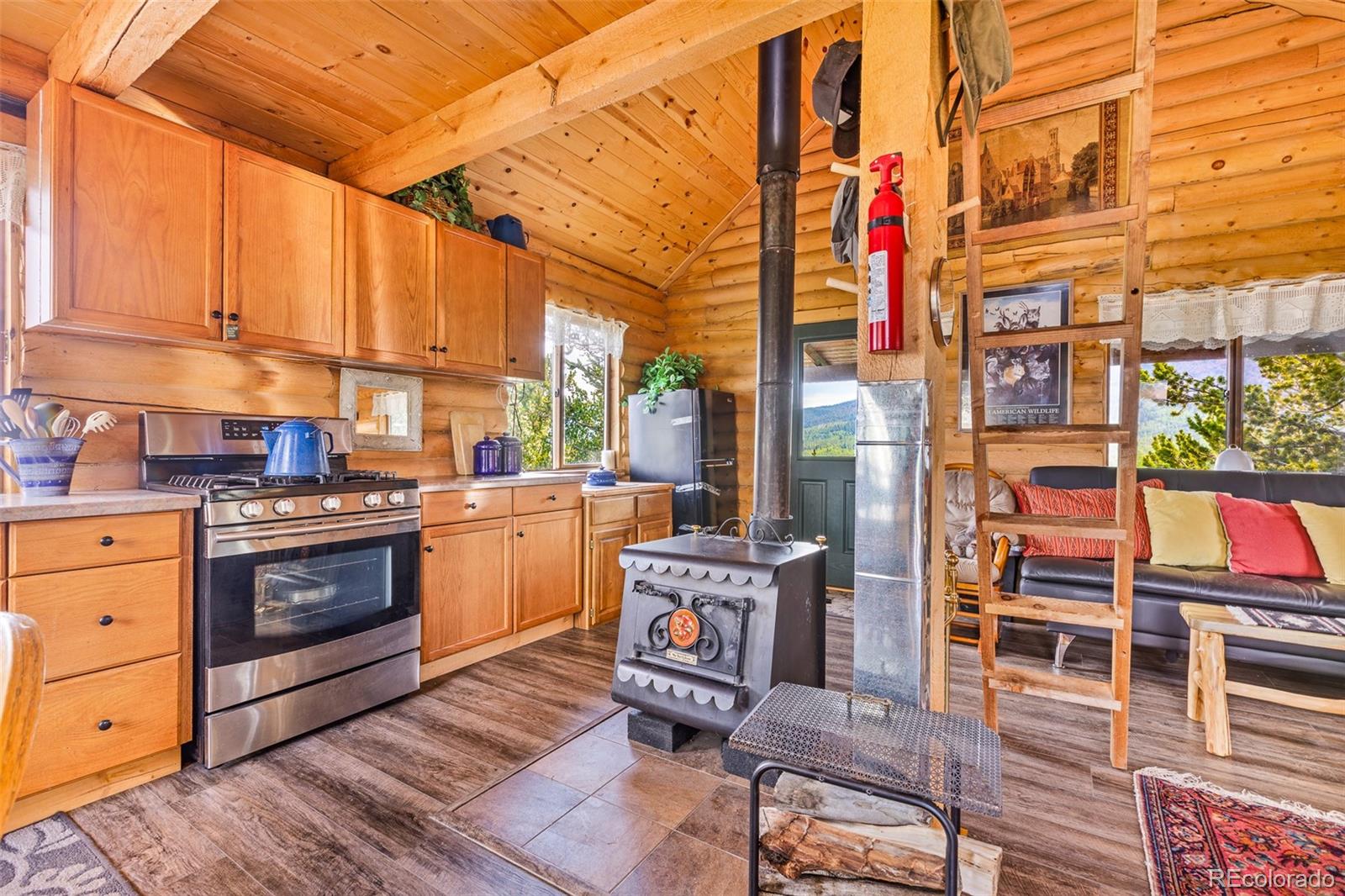 210 Pine Ridge Road Fairplay, CO 80440 - Photo 22 of 47