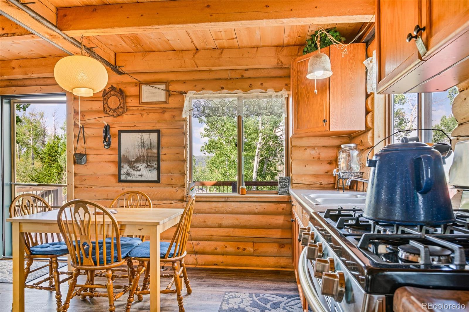 210 Pine Ridge Road Fairplay, CO 80440 - Photo 24 of 47