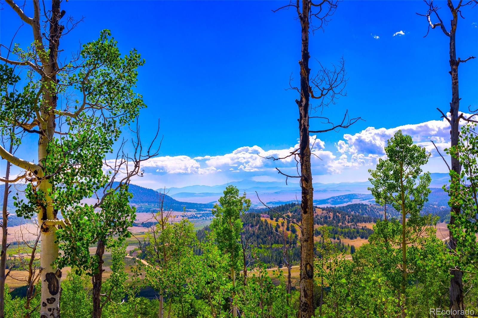 210 Pine Ridge Road Fairplay, CO 80440 - Photo 35 of 47