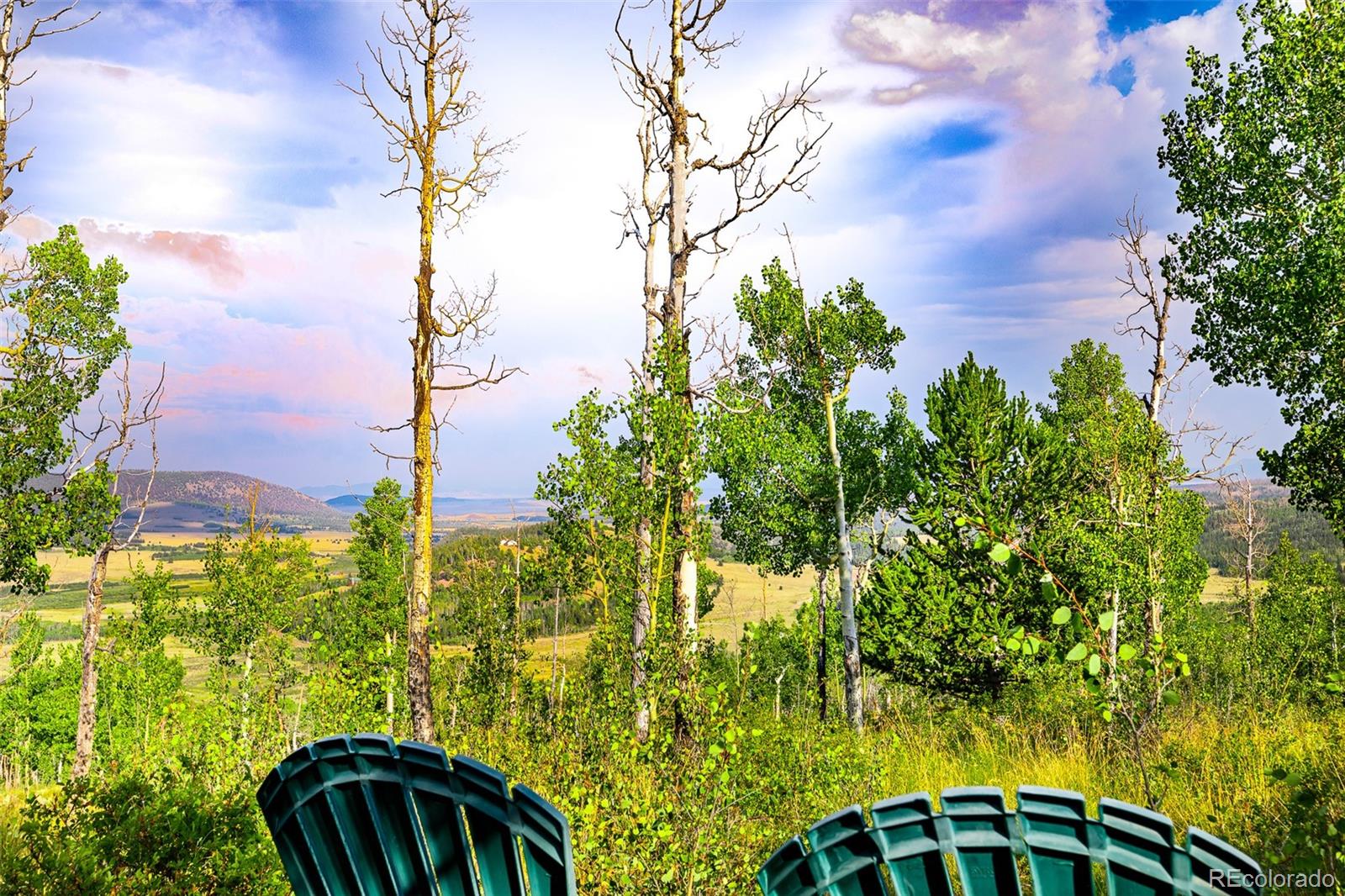 210 Pine Ridge Road Fairplay, CO 80440 - Photo 38 of 47