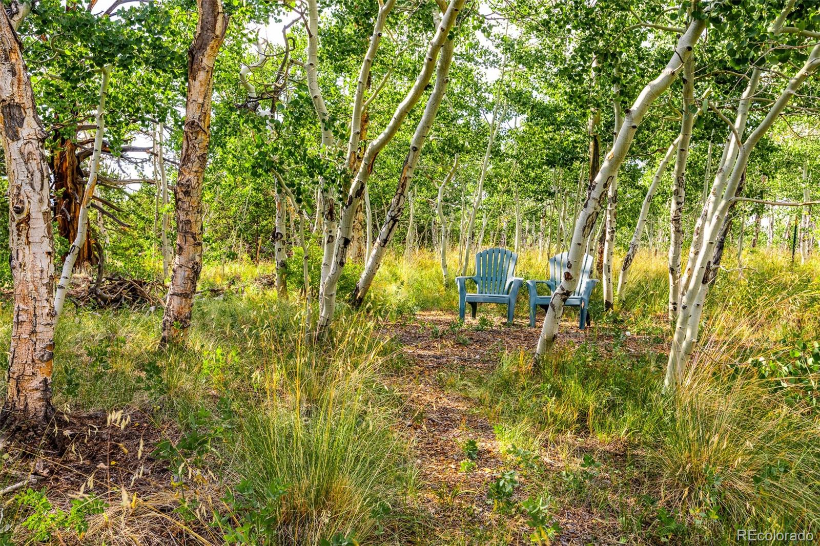 210 Pine Ridge Road Fairplay, CO 80440 - Photo 39 of 47