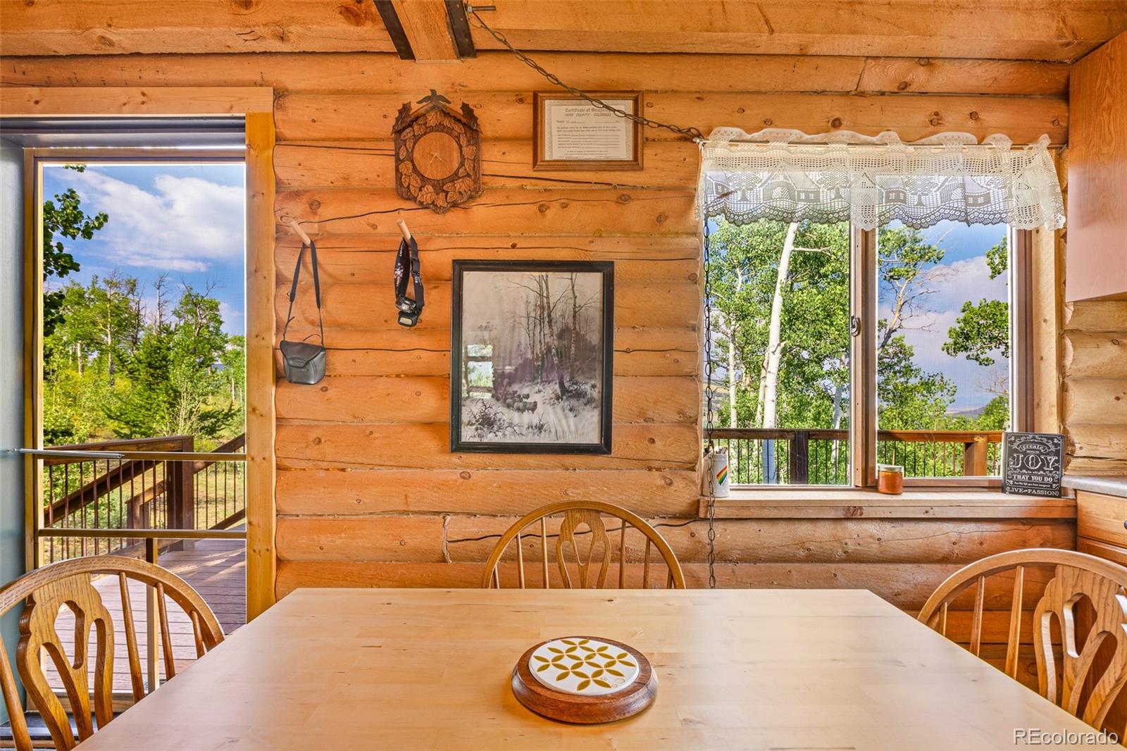 210 Pine Ridge Road Fairplay, CO 80440 - Photo 40 of 47