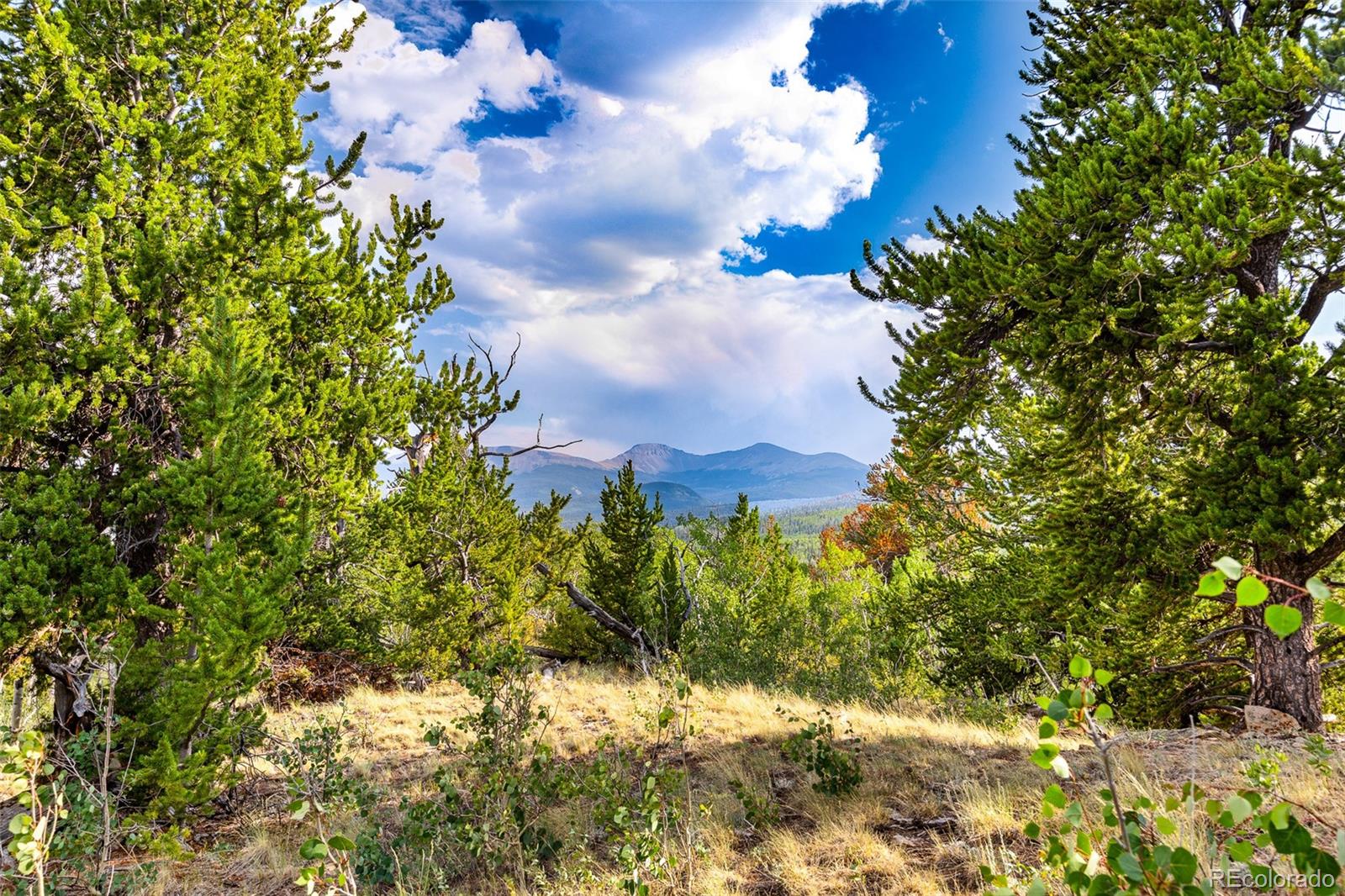 210 Pine Ridge Road Fairplay, CO 80440 - Photo 47 of 47