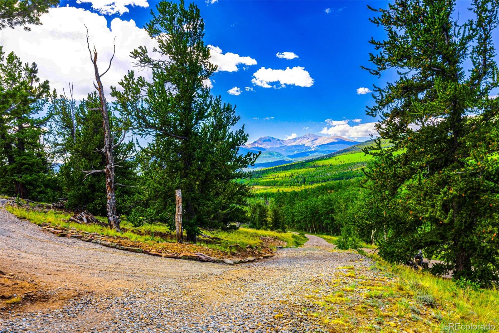 210 Pine Ridge Road Fairplay, CO 80440 - Photo 8 of 47